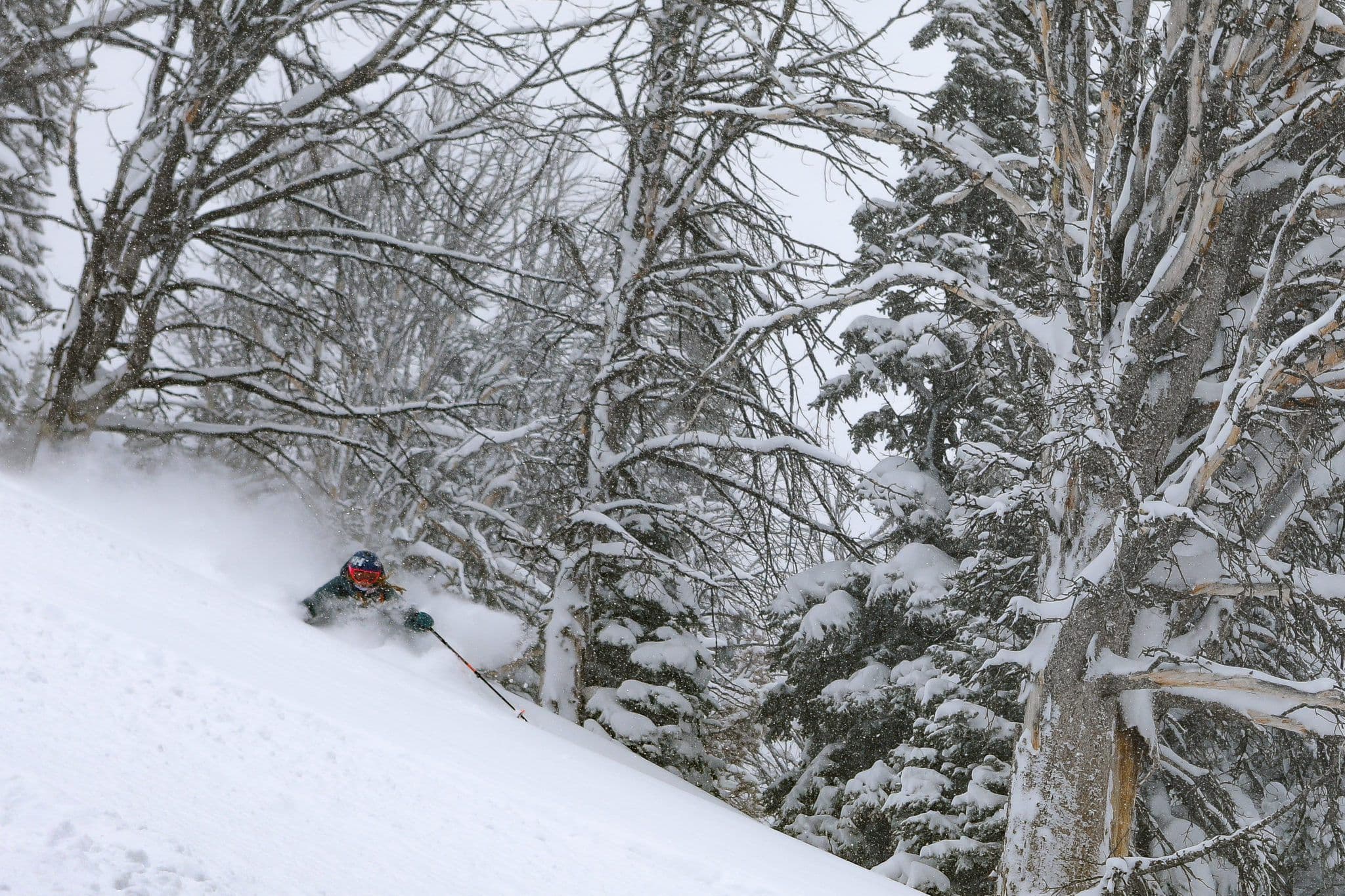 Person Skiing in deep powder in Grand Teton National Park