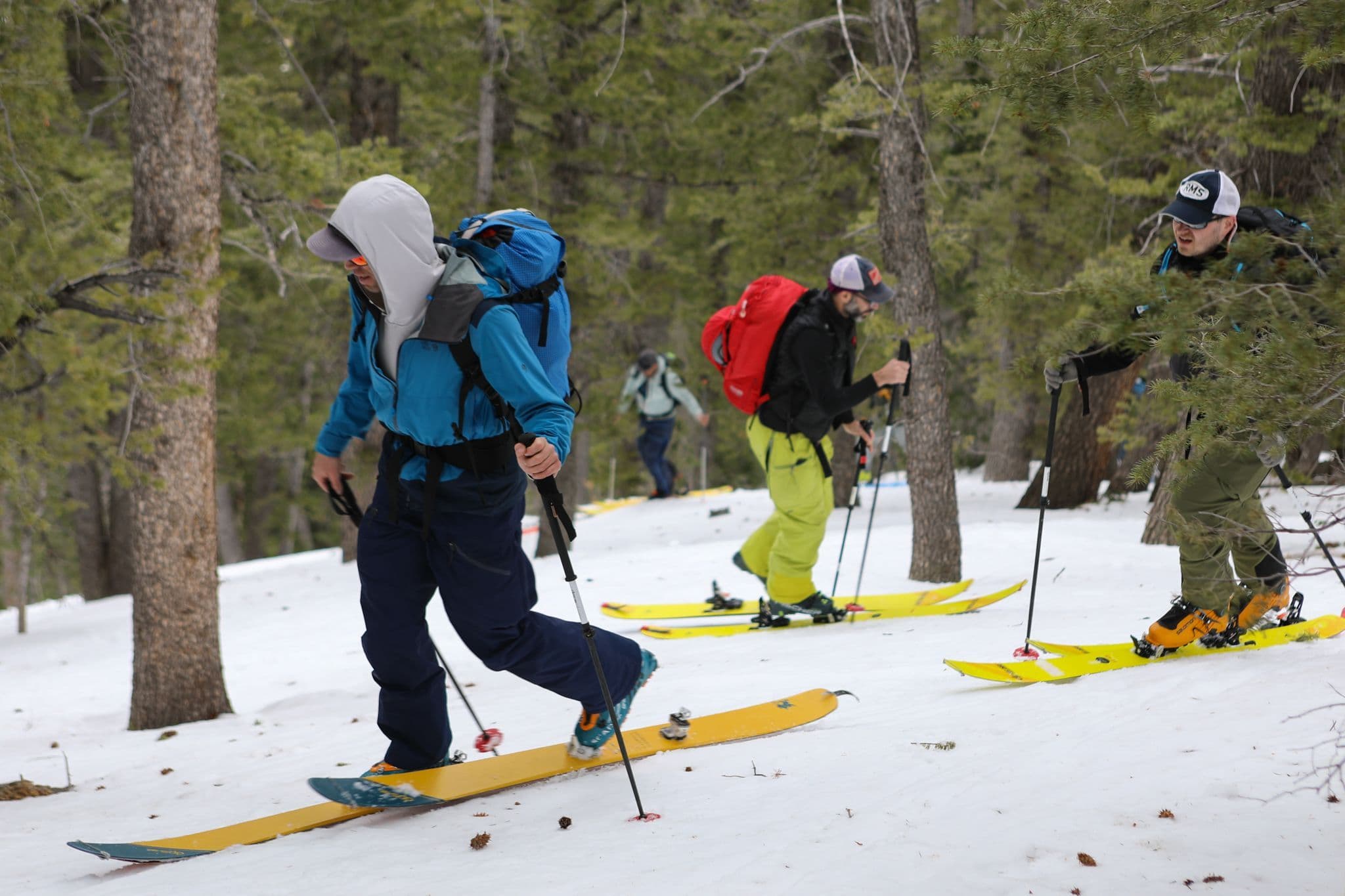 Team backcountry skiing together