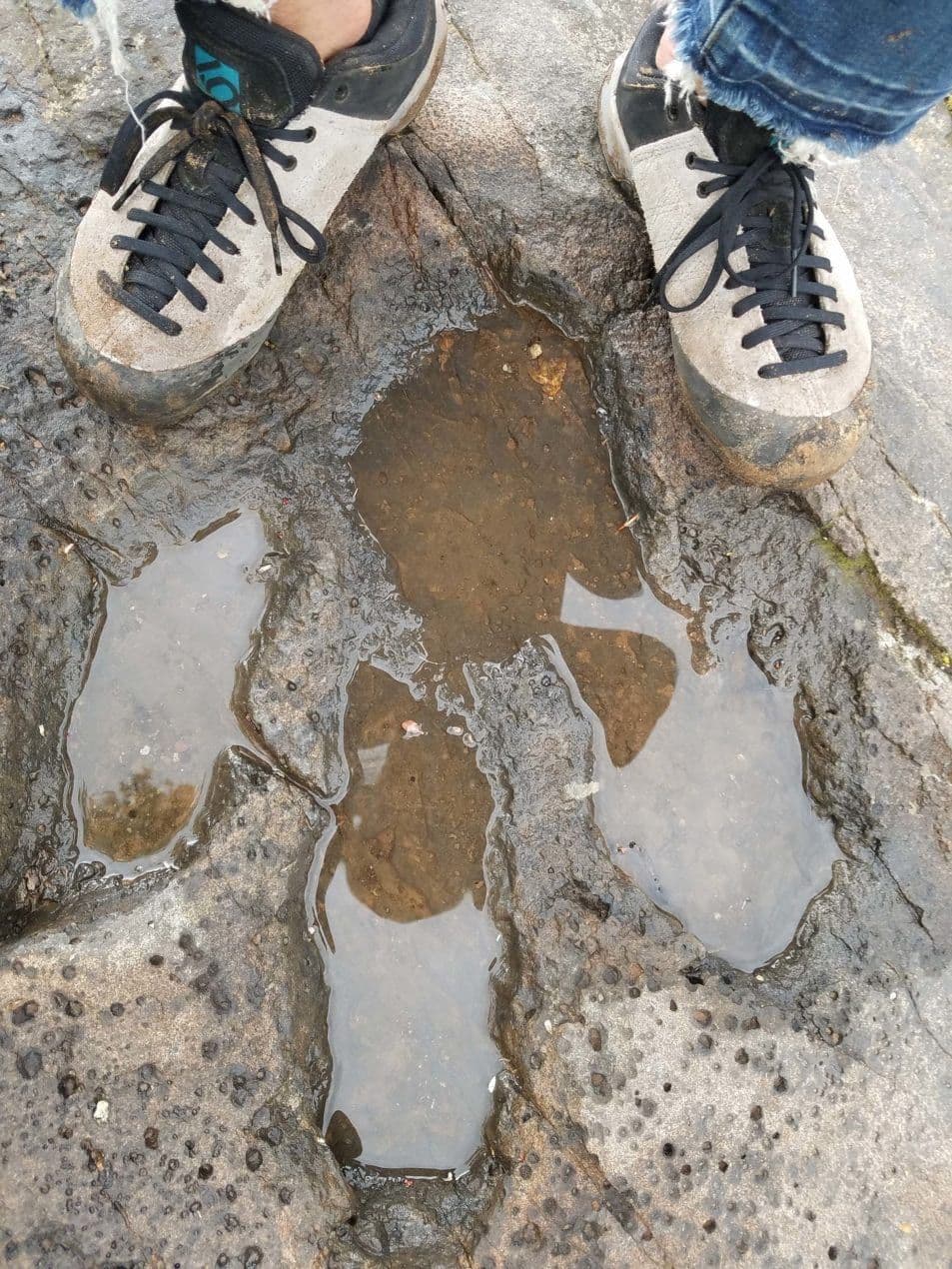 Small craters of water 