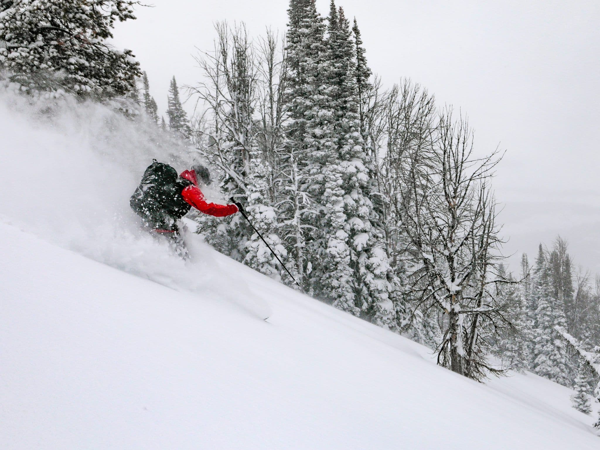 Skier going down deep powder