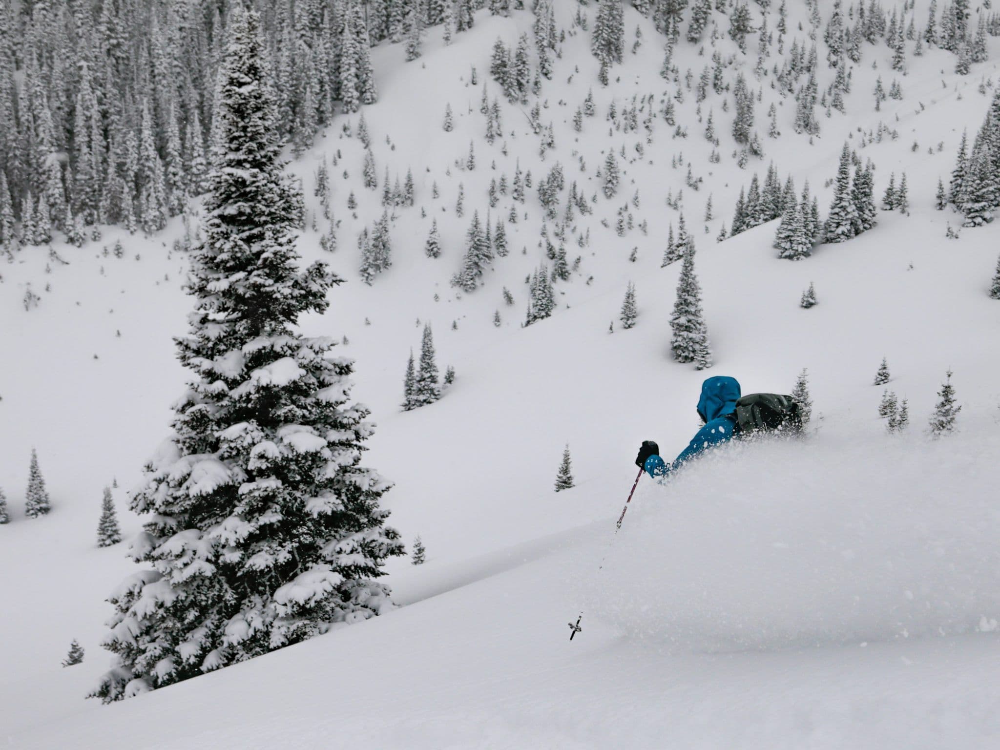 Person Skiing in deep powder in Grand Teton National Park
