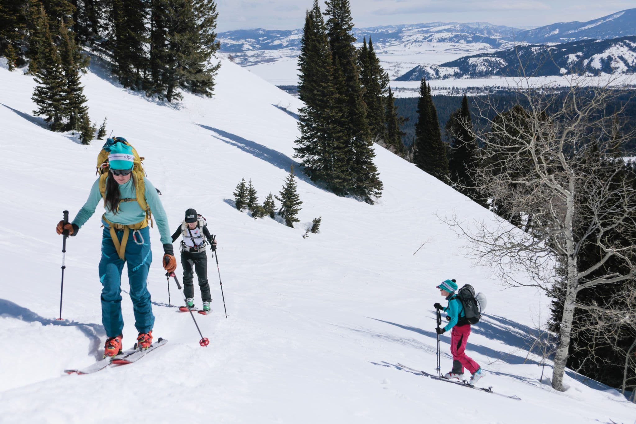 Skiers hiking a mountain