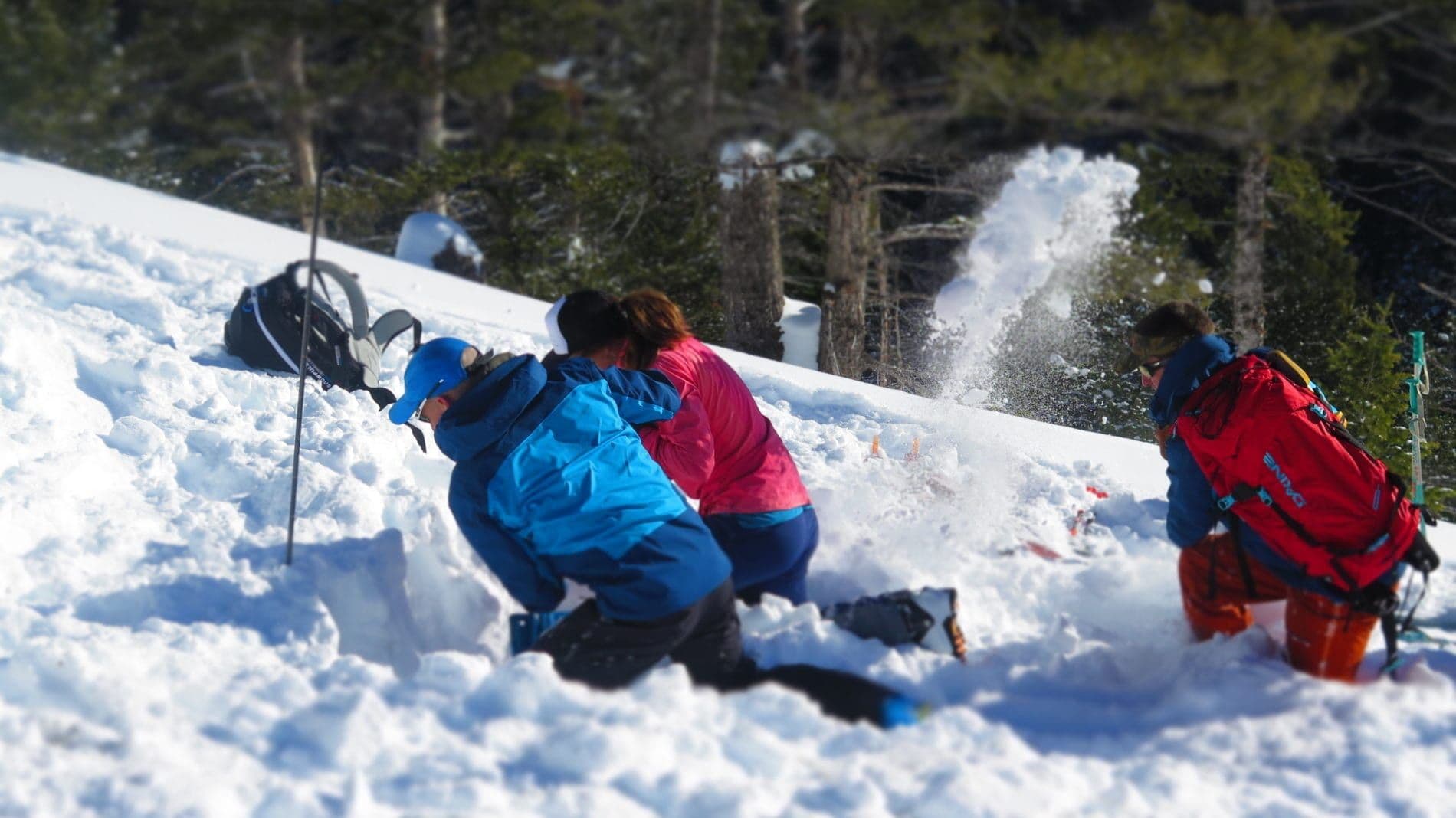 Group members observing snow in Grand Teton national park