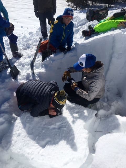 Group digging in snow