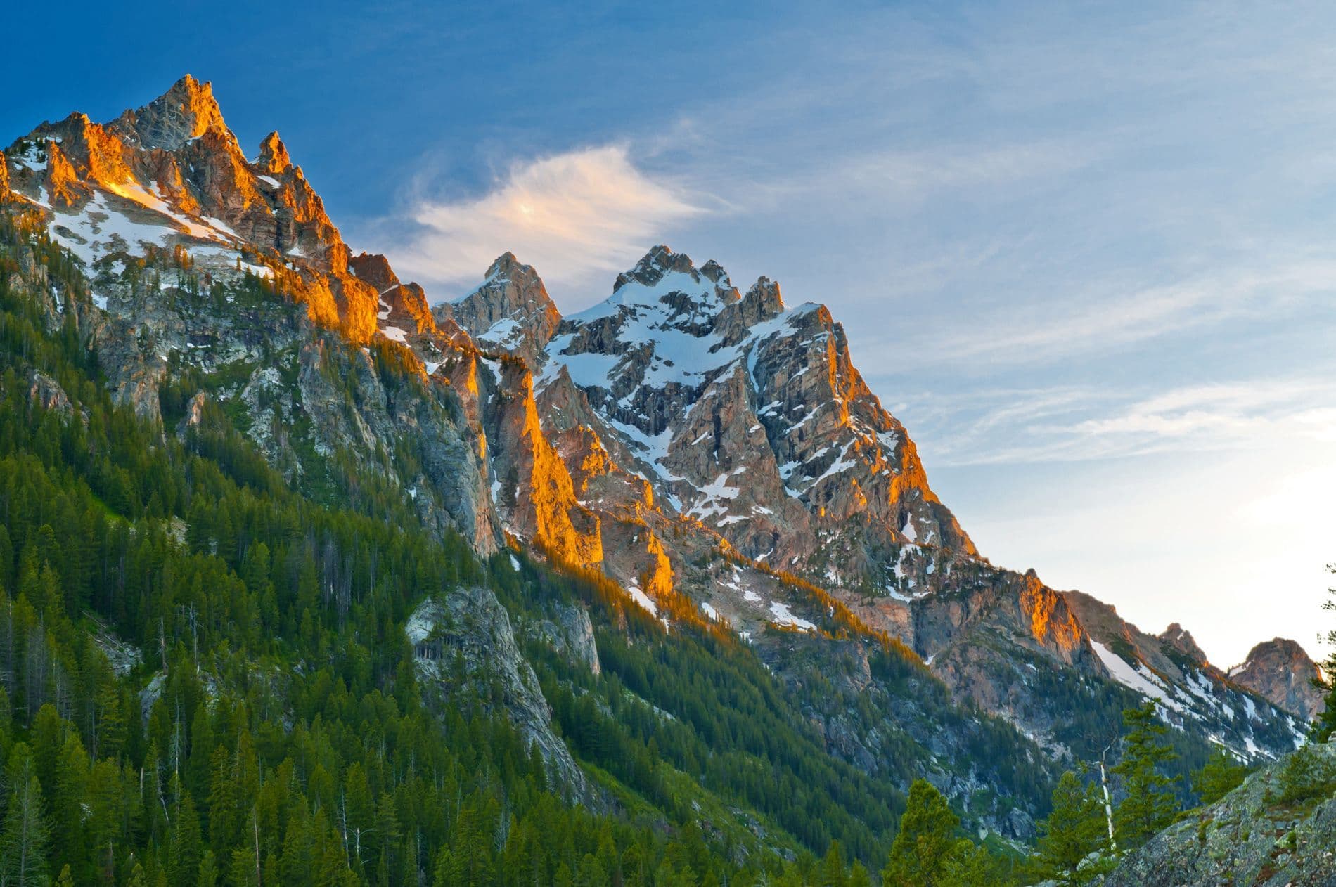 Tetons in Summertime