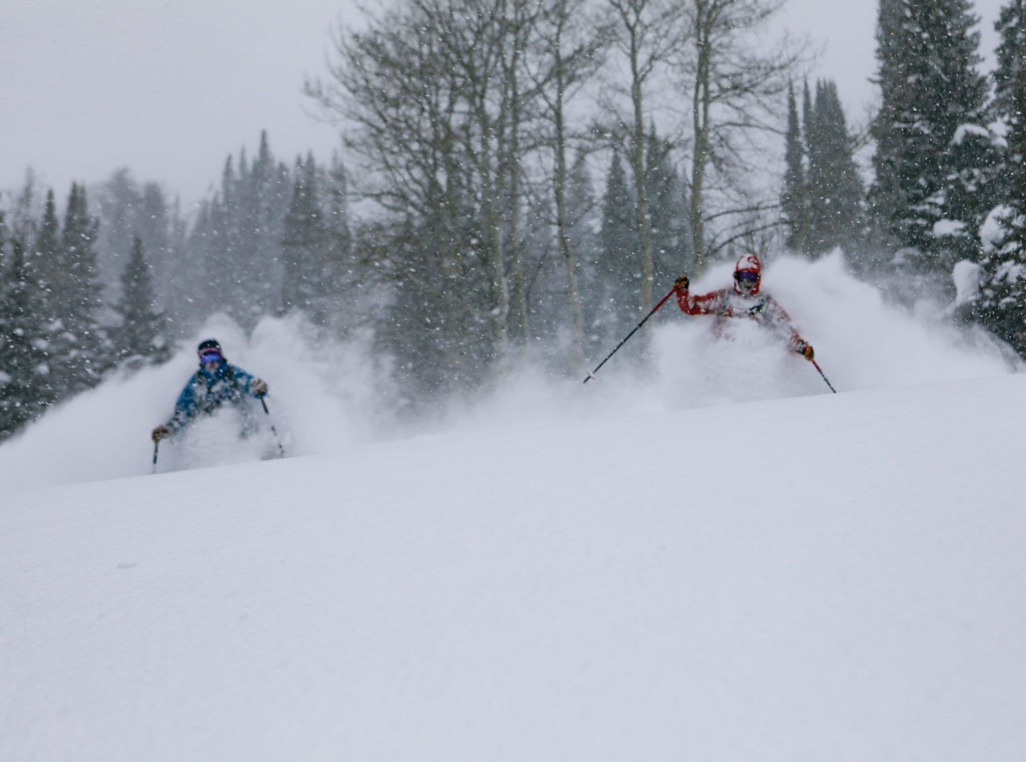 2 people skiing in deep powder