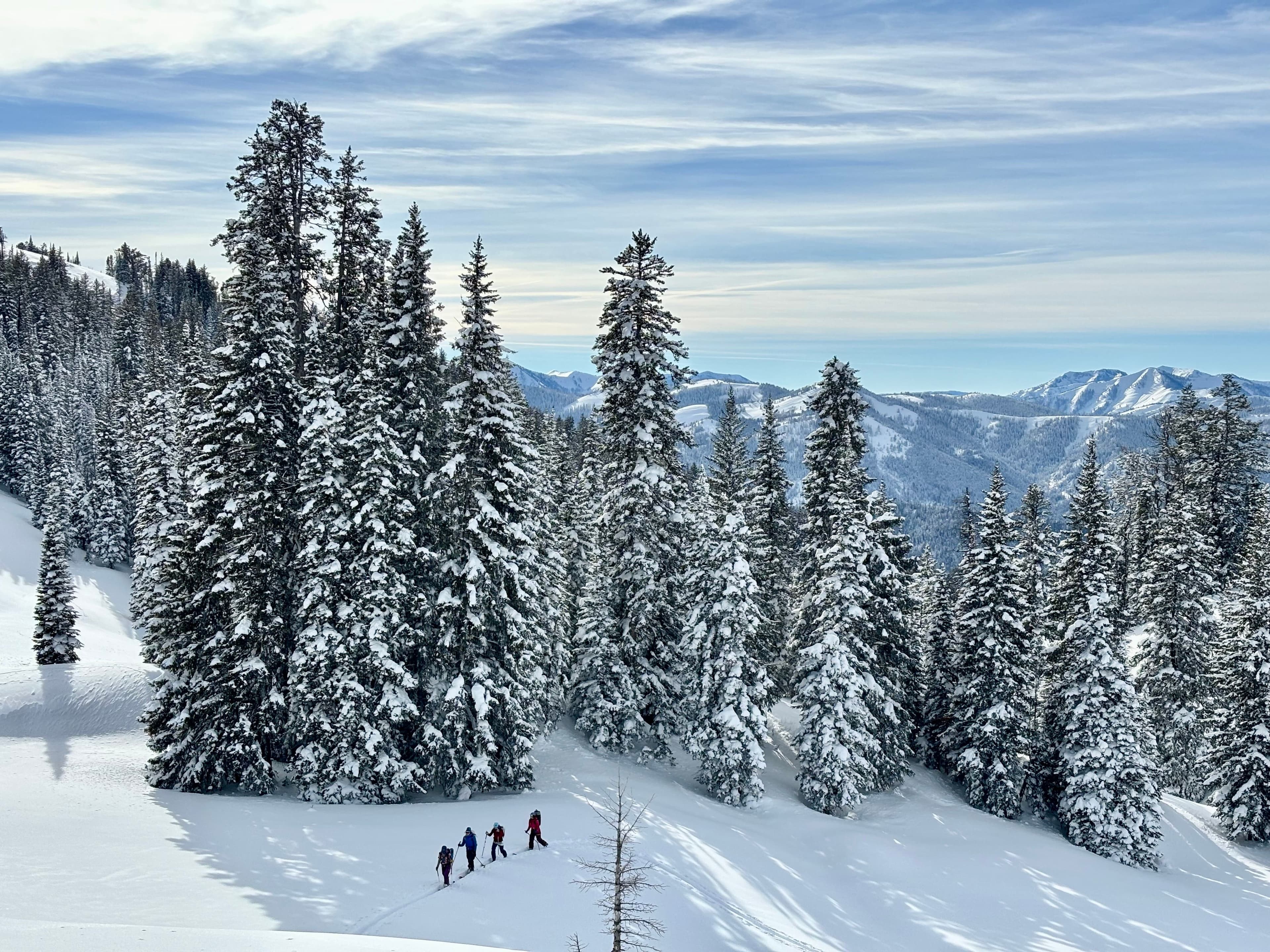 Women skies down mountain