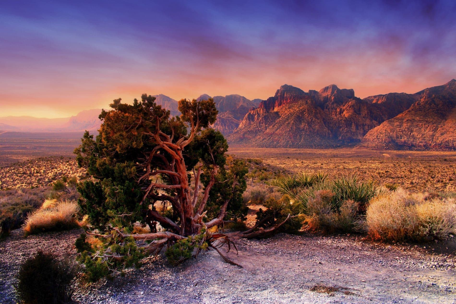 Red rock sunset