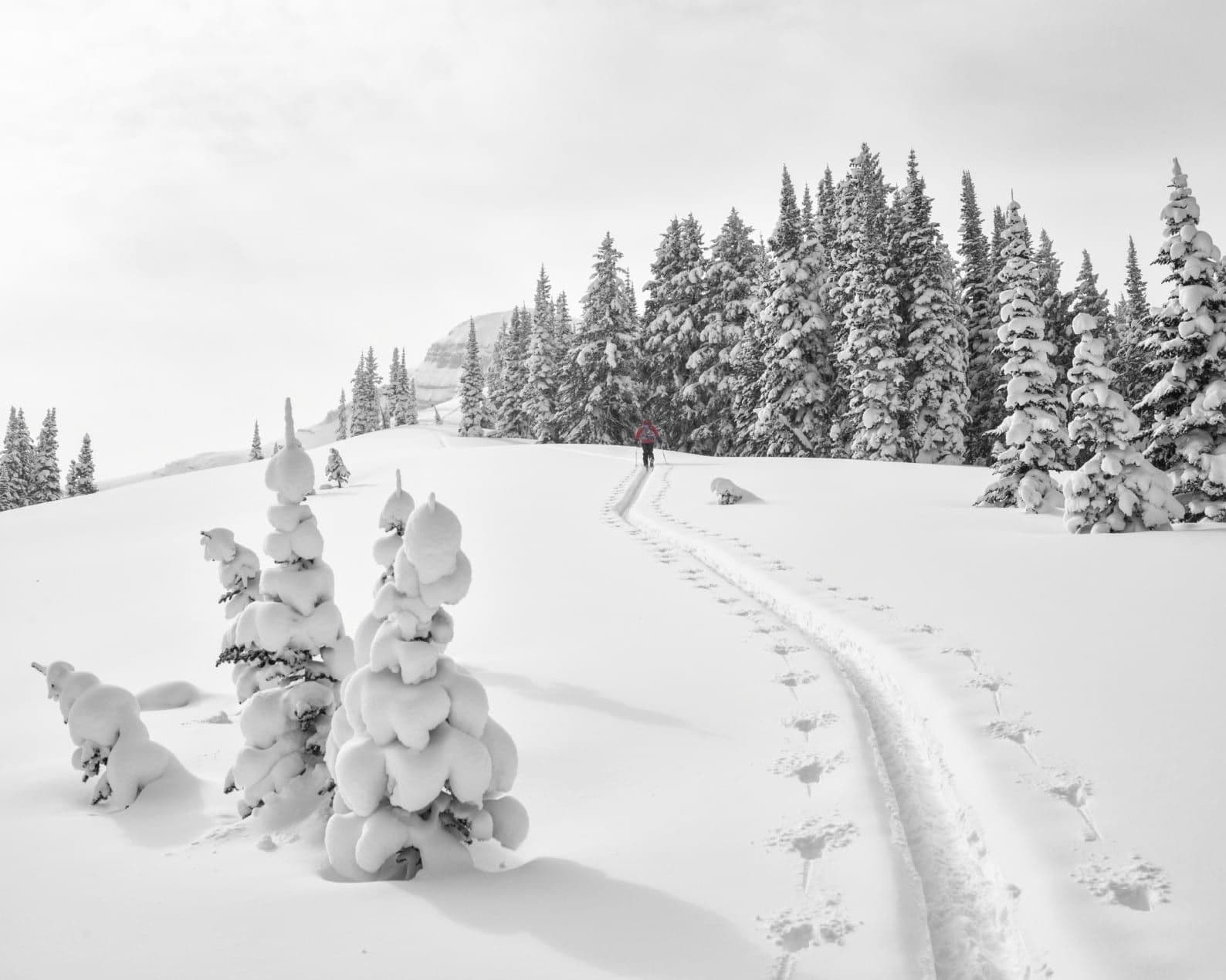 Backcountry skier walking up mountain