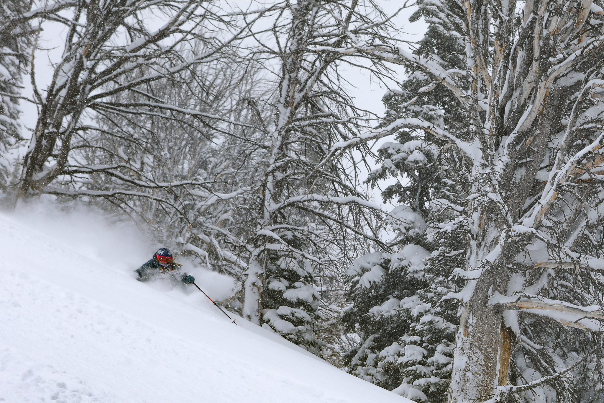 AIARE 1 Avalanche Course with Jackson Hole Mountain Guides