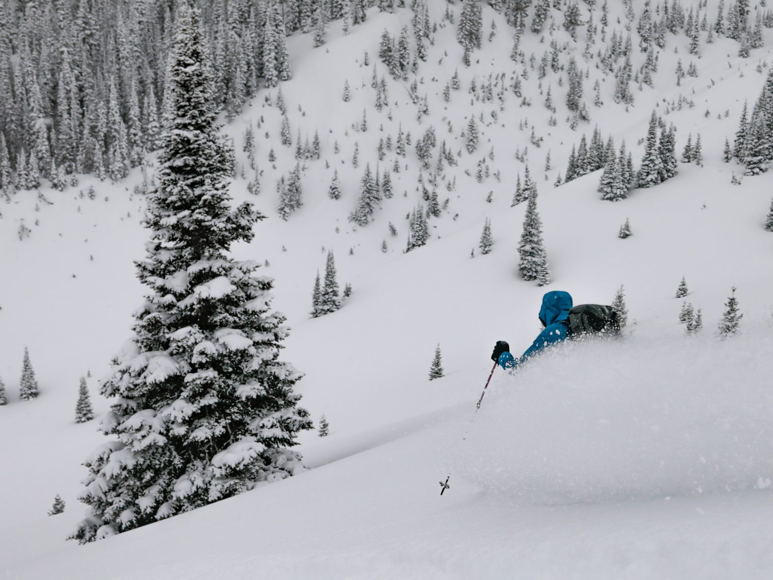 AIARE 1 Avalanche Course with Jackson Hole Mountain Guides