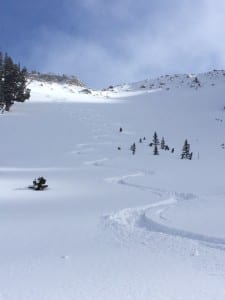perfect turns in the snow