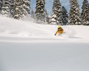 A skier in a yellow jacket skiing powder on a sunny day.