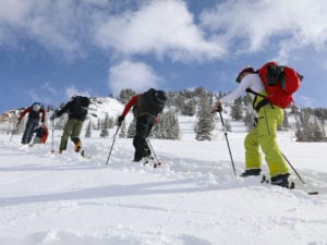 skiers and snowboarders touring up a mountain