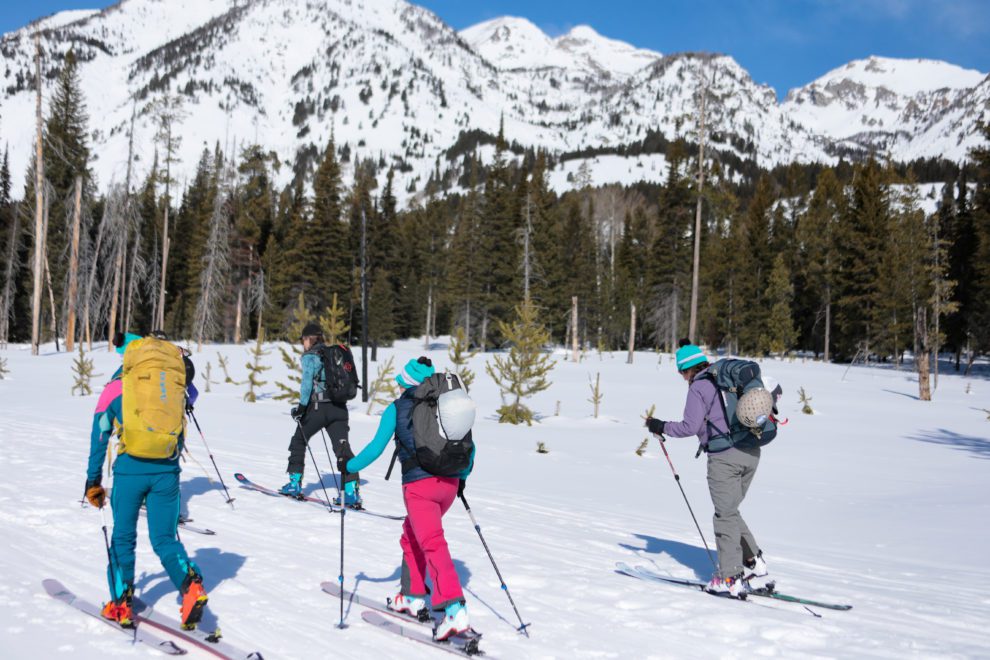 guided ski touring trip in the mountains