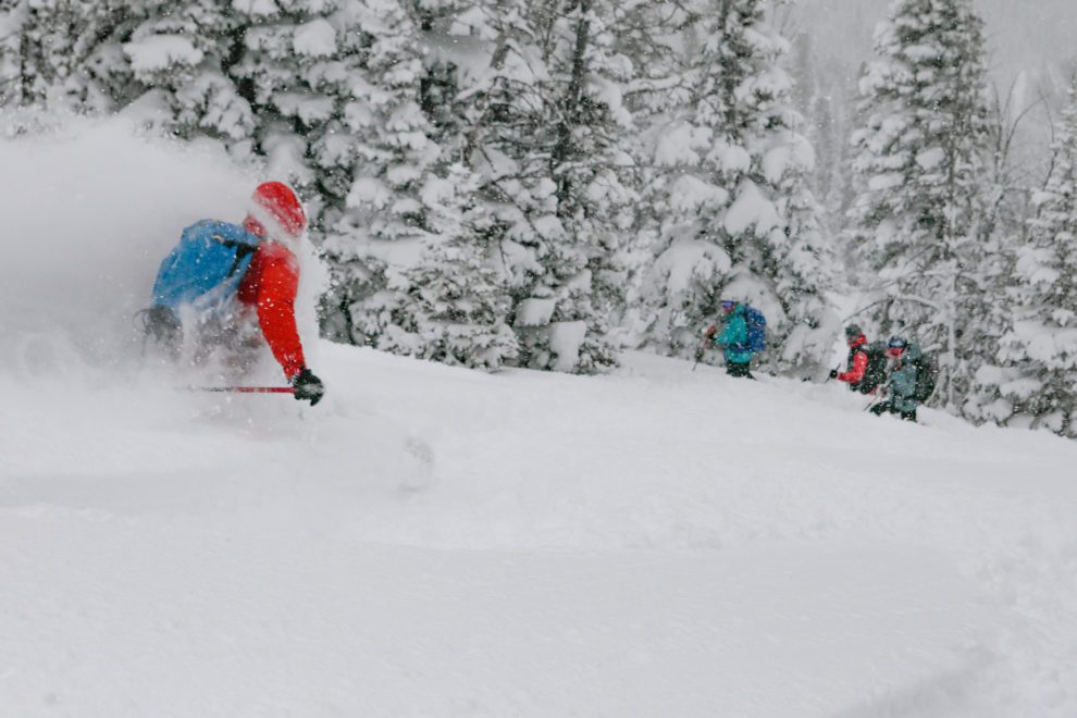 A skier in a red jacket powder skiing.